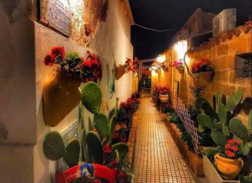 Nido Colorato Appartaments-Rooms Fontane Bianche Exterior foto