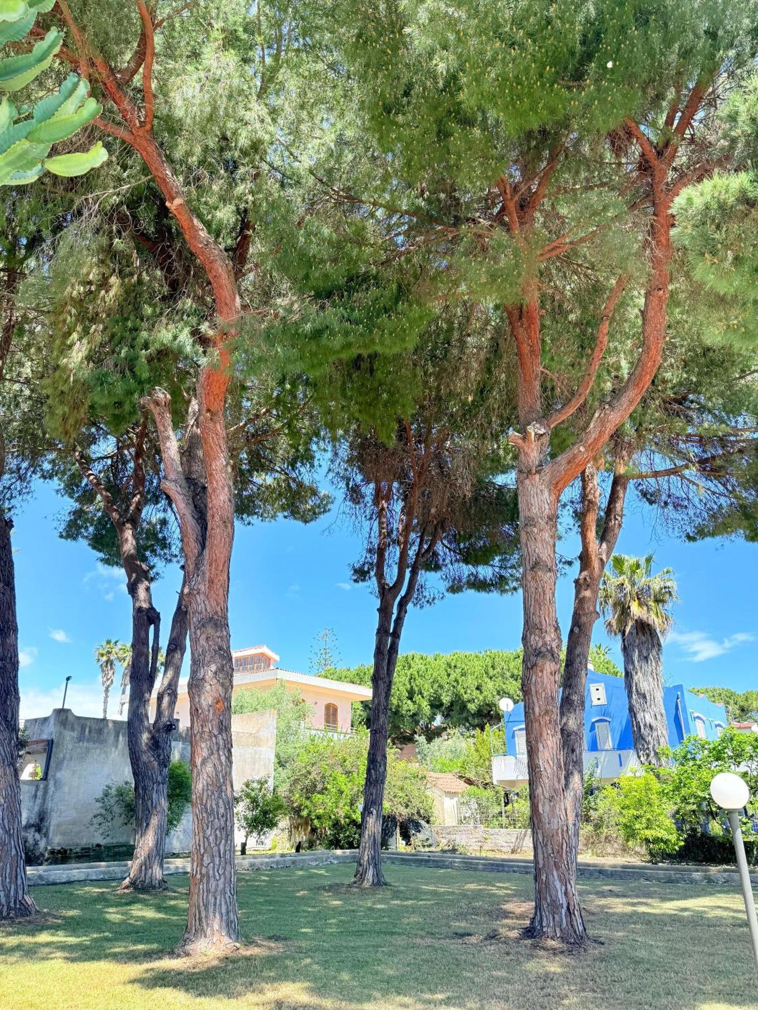 Nido Colorato Appartaments-Rooms Fontane Bianche Exterior foto